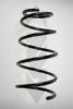 SPIDAN 56424 Coil Spring